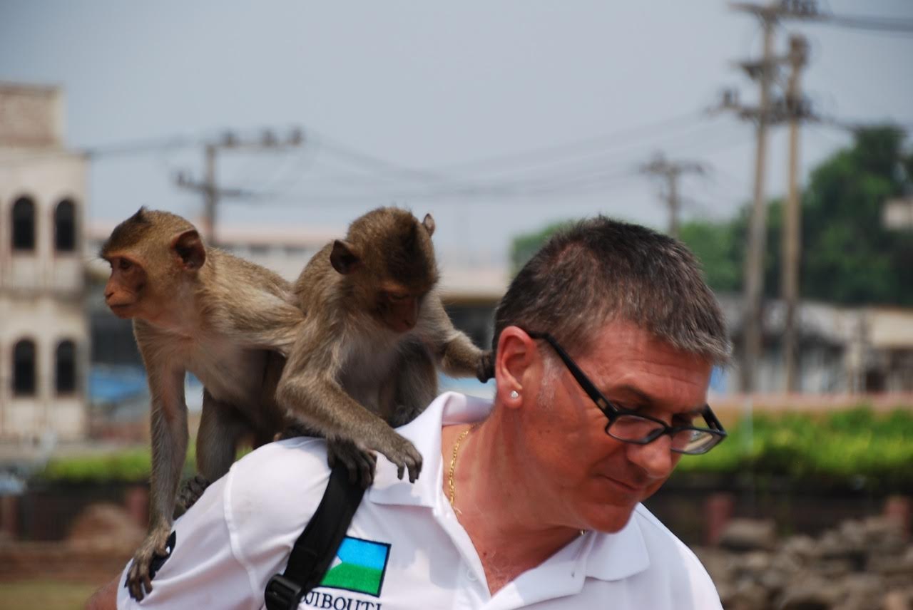 macaque monkey temple, Lopburi