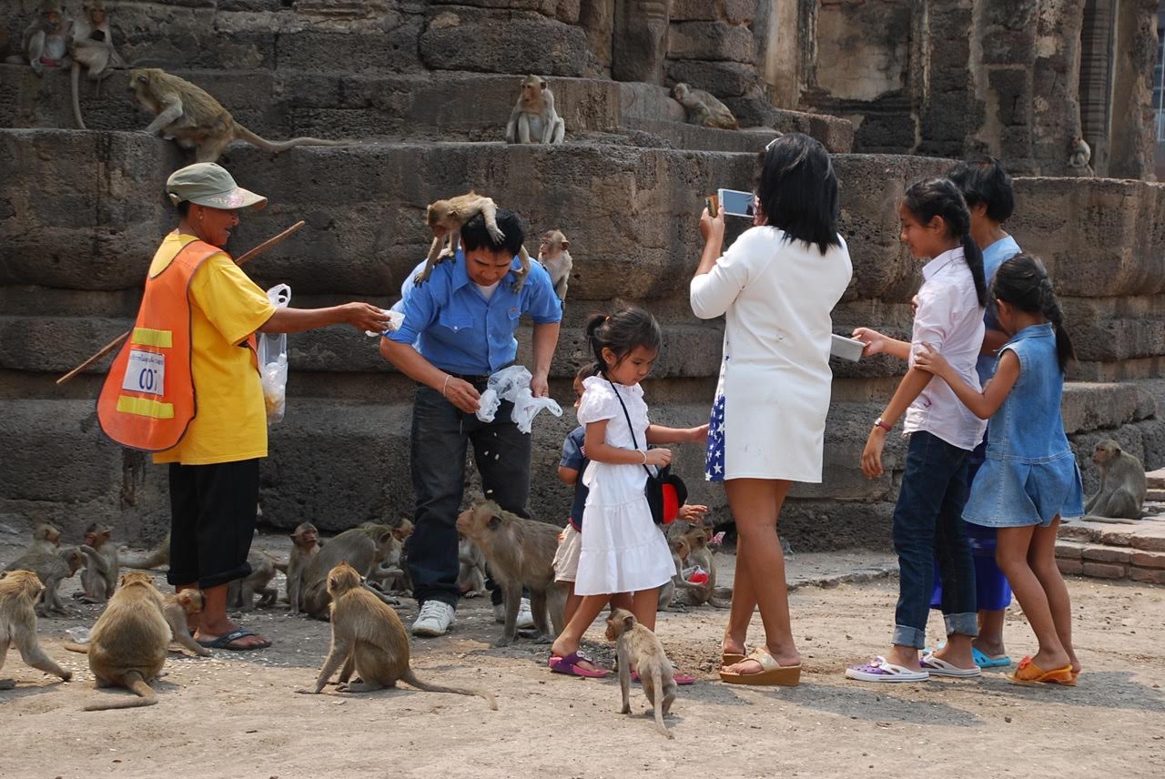 macaque monkey temple, Lopburi