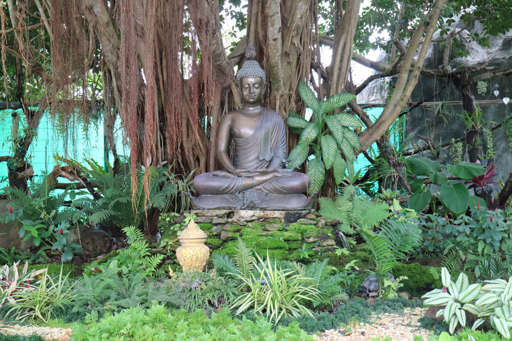 Chiang Rai White Temple Buddha garden_4825