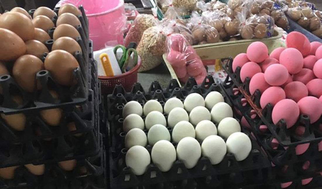 Nan Markets pink eggs Caroline Gladstone