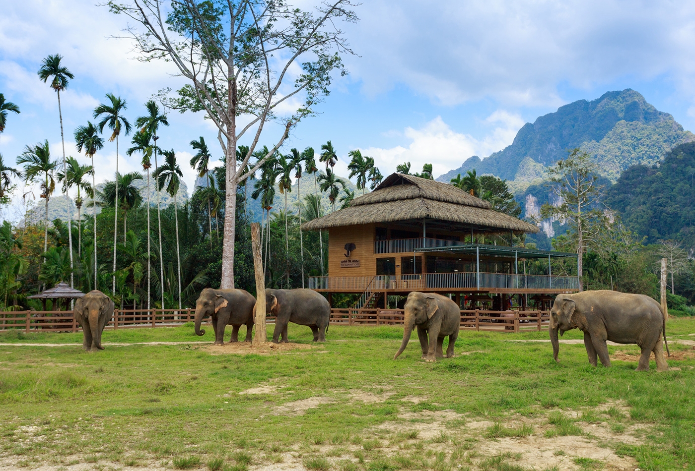 Elephant Hills Thailand – Amazing Thailand